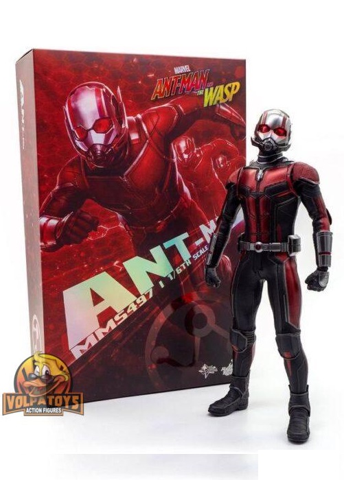 ホットトイズ MARVEL ANT-MAN 1/6スケールフィギュア Ant-Man Sixth Scale Figure by Hot Toys | Sideshow Collectibles