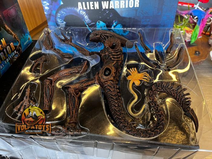 Alien Warrior - Hot Toys Especial Edition 1/6 ⋆